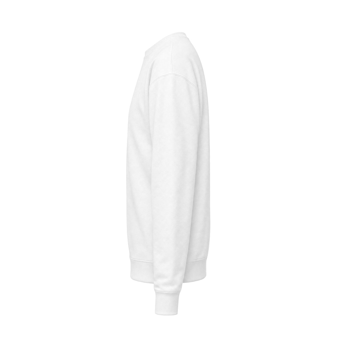 Introvert Mode Sweatshirt